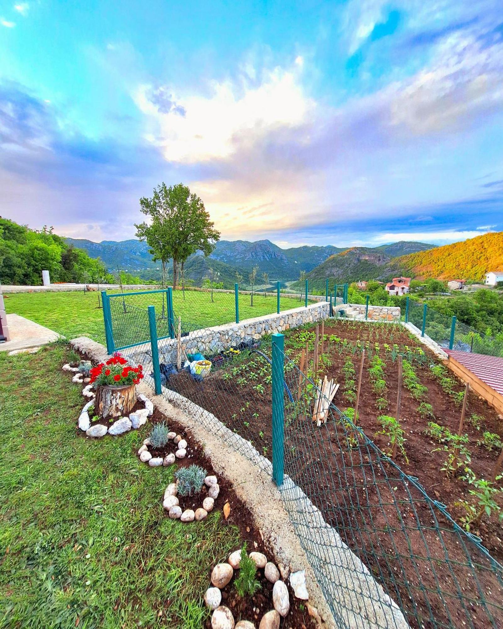 Sunny Side Apartments Rijeka Crnojevića Dış mekan fotoğraf